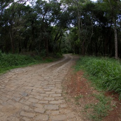 July 16th Oloolua Trail